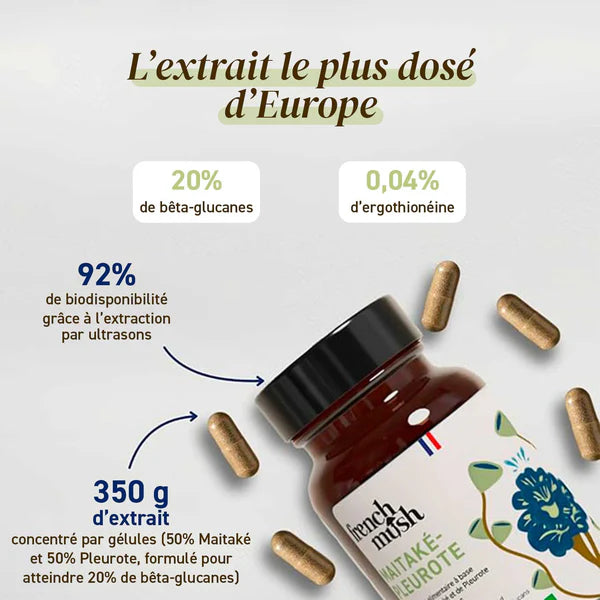 فطر المحار مايتاكي
